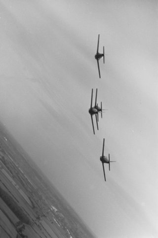 img18.jpg